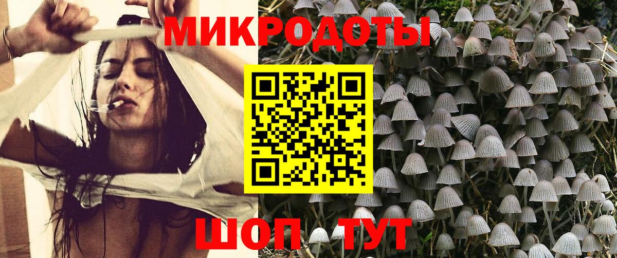 Керчь  Псилоцибиновые грибы MAGIC MUSHROOMS  Вход с VPN 
